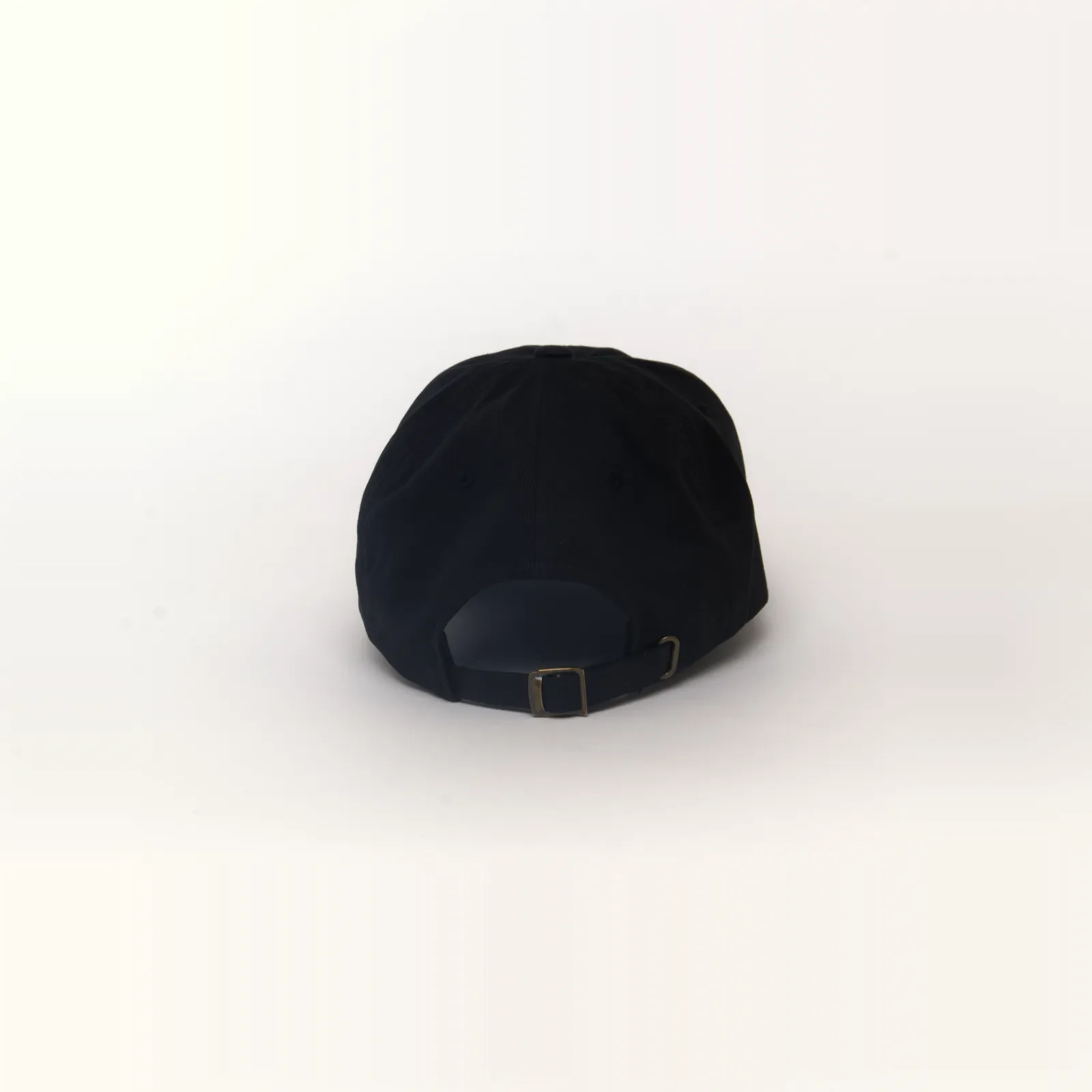 Black hat that says THIS IS A HAT, back view